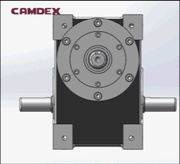 DS spindle type cam indexer structure